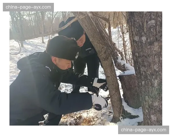 意甲联盟严打保级战非法赌球行为，联合警方对涉案人员展开调查